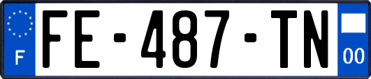 FE-487-TN