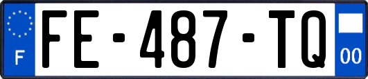 FE-487-TQ