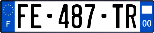 FE-487-TR