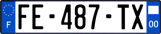 FE-487-TX