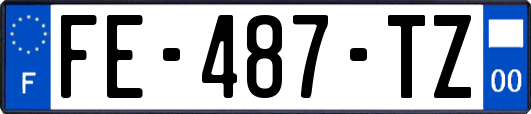 FE-487-TZ