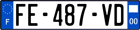FE-487-VD