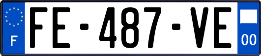 FE-487-VE