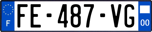 FE-487-VG