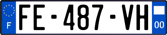 FE-487-VH