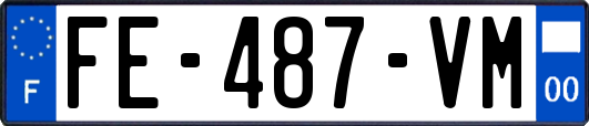 FE-487-VM