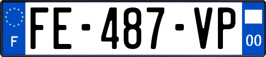 FE-487-VP
