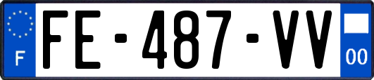 FE-487-VV