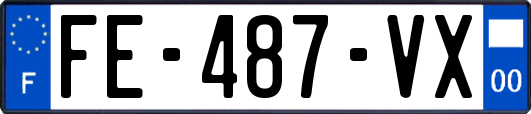 FE-487-VX