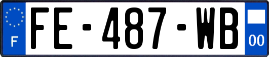 FE-487-WB