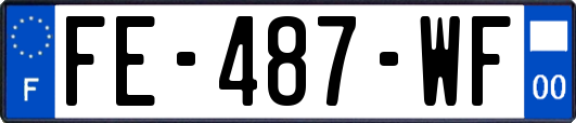 FE-487-WF