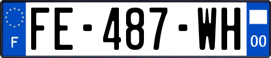 FE-487-WH