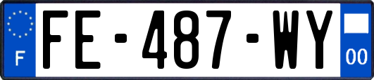 FE-487-WY