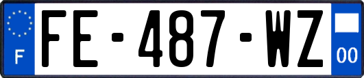 FE-487-WZ