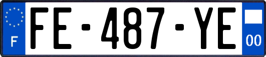 FE-487-YE