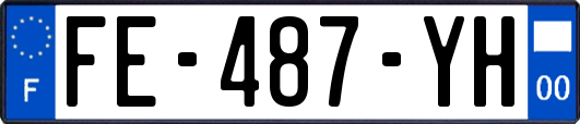 FE-487-YH