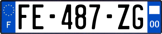 FE-487-ZG