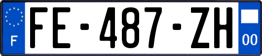 FE-487-ZH