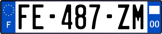 FE-487-ZM