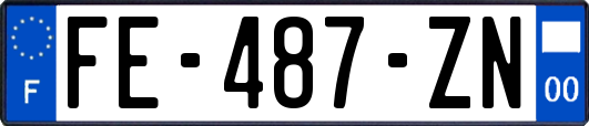 FE-487-ZN