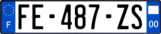 FE-487-ZS