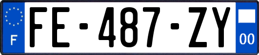 FE-487-ZY