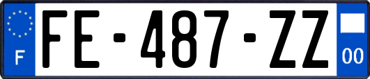 FE-487-ZZ