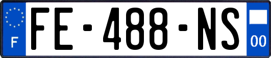 FE-488-NS