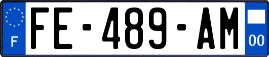 FE-489-AM