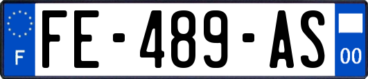 FE-489-AS