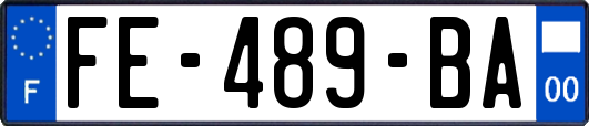 FE-489-BA