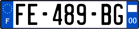 FE-489-BG