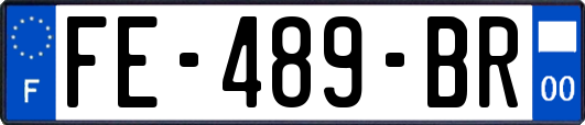 FE-489-BR