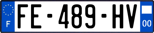FE-489-HV
