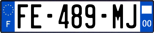 FE-489-MJ