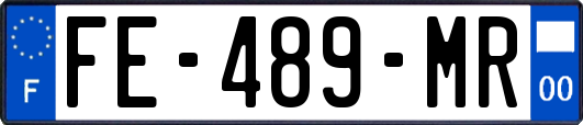 FE-489-MR