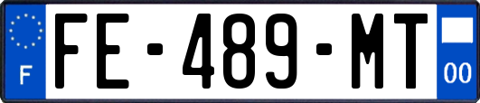 FE-489-MT