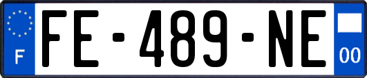 FE-489-NE