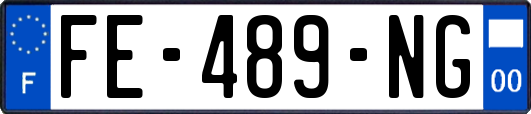 FE-489-NG