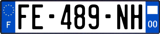 FE-489-NH