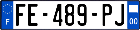 FE-489-PJ