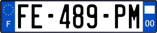 FE-489-PM