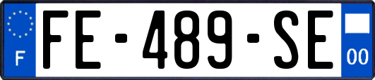FE-489-SE