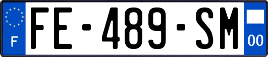 FE-489-SM