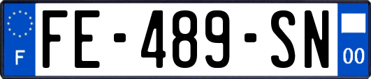 FE-489-SN