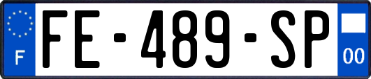 FE-489-SP