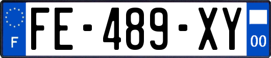 FE-489-XY