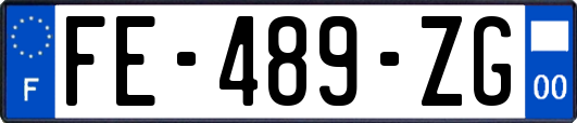 FE-489-ZG