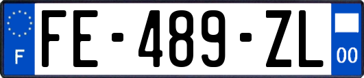 FE-489-ZL