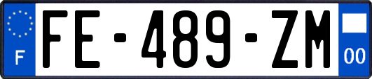 FE-489-ZM